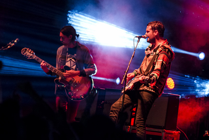 the wombats